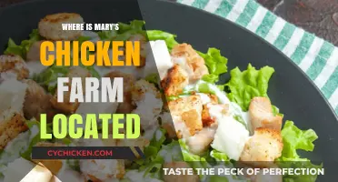 Discover Mary's Chicken Farm: Location and Rural Charm Revealed