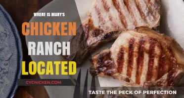 Discovering Mary's Chicken Ranch: Location and Historical Insights