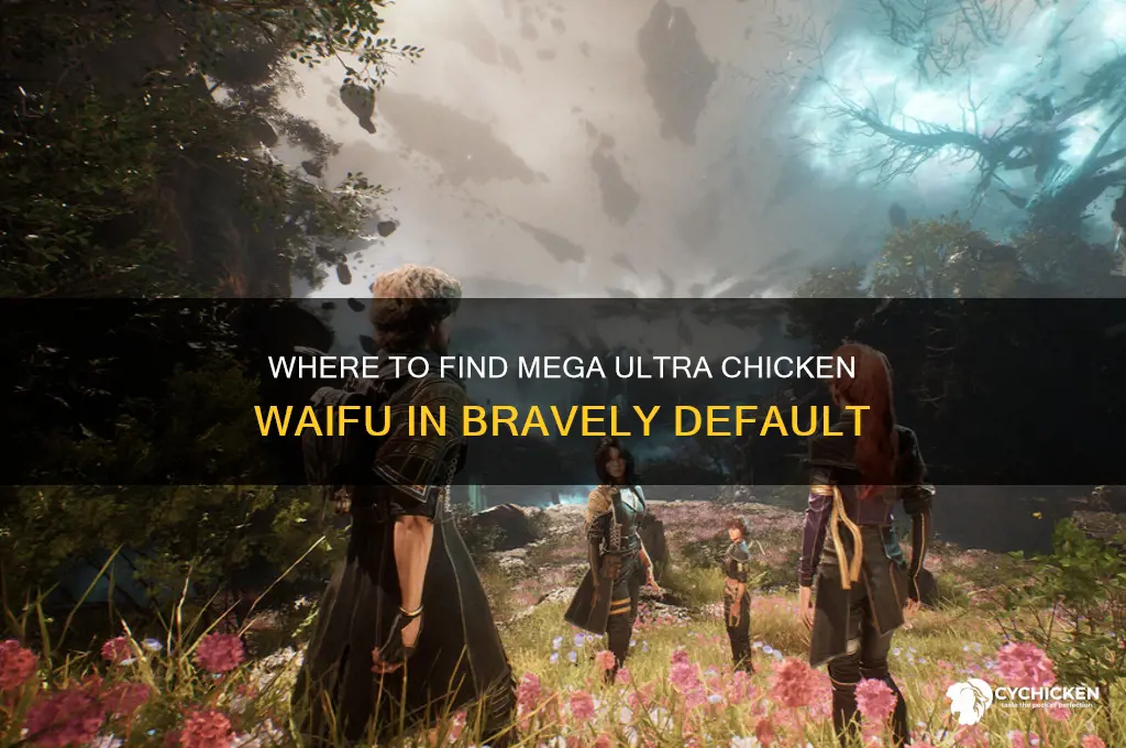 where is mega ultra chicken waifu bravely default