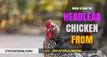 Mike the Headless Chicken's Hometown: Uncovering His Surprising Origins
