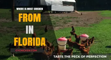 Florida's Chicken Sources: Uncovering the State's Poultry Production Origins