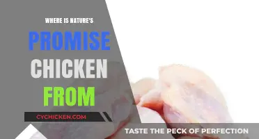 Where is Nature's Promise Chicken From? Uncovering Its Origins