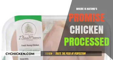 Where is Nature's Promise Chicken Processed? Uncovering the Supply Chain