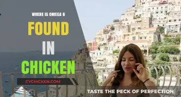 Omega-6 Sources in Chicken: Uncovering the Nutritional Benefits and Locations