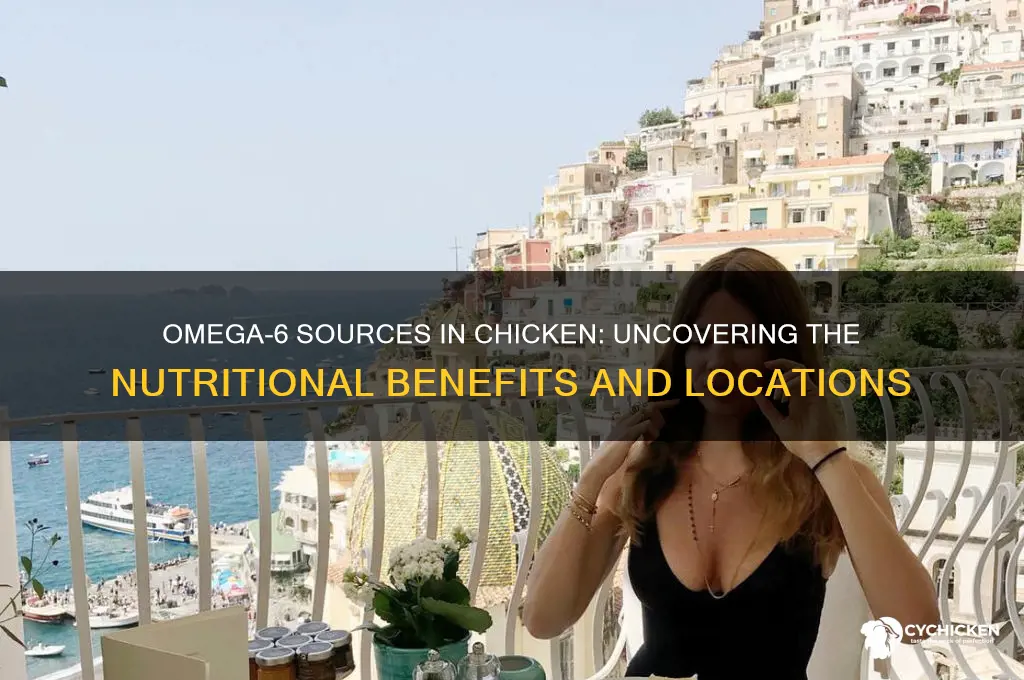 where is omega 6 found in chicken
