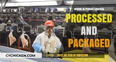 Perdue Chicken Processing and Packaging Locations: A Comprehensive Guide