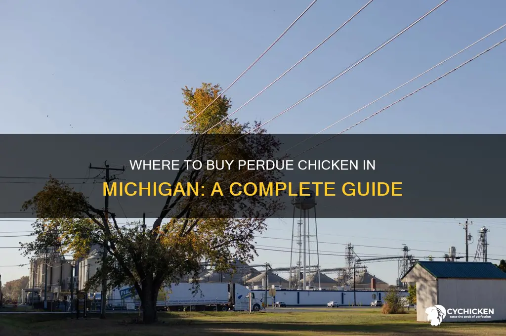 where is perdue chicken sold in michigan