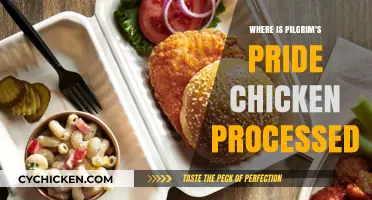 Where is Pilgrim's Pride Chicken Processed? Uncovering the Supply Chain