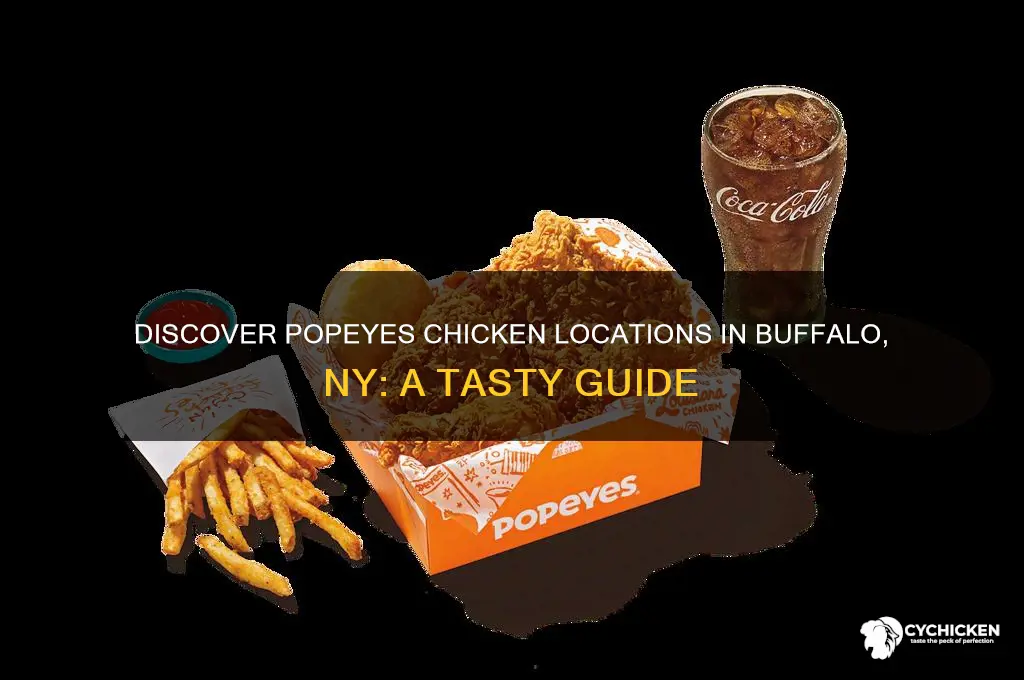 where is popeyes chicken in buffalo ny