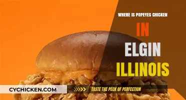 Discover Popeyes Chicken Locations in Elgin, Illinois: A Quick Guide