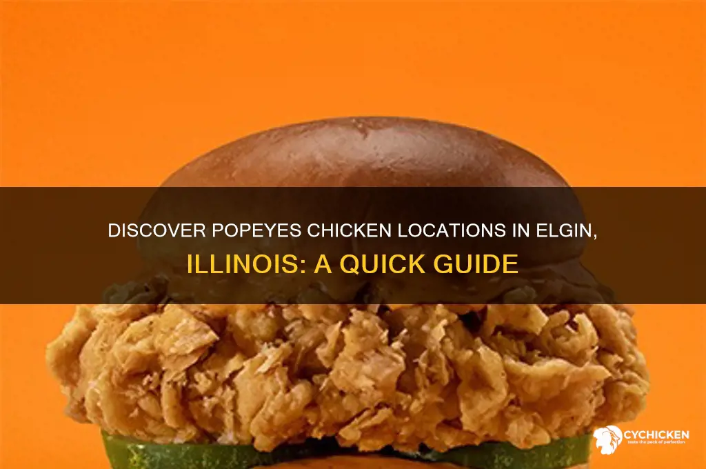 where is popeyes chicken in elgin illinois