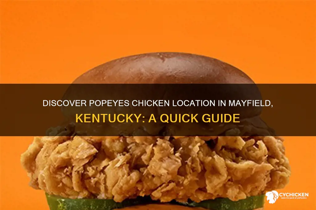 where is popeyes chicken in mayfield ky