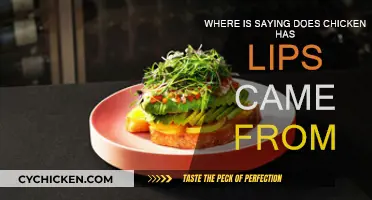 Origin of the Phrase: "Does Chicken Have Lips?