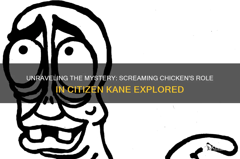 where is screaming chicken in citizen kane