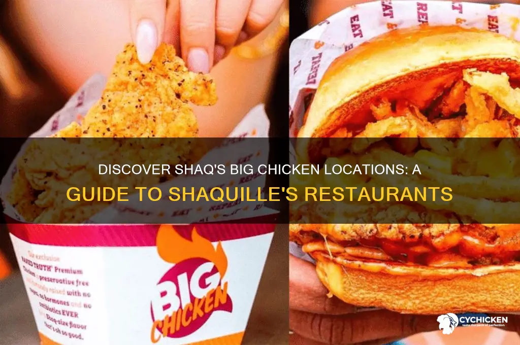 where is shaq