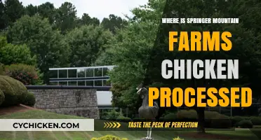 Where is Springer Mountain Farms Chicken Processed? A Detailed Look