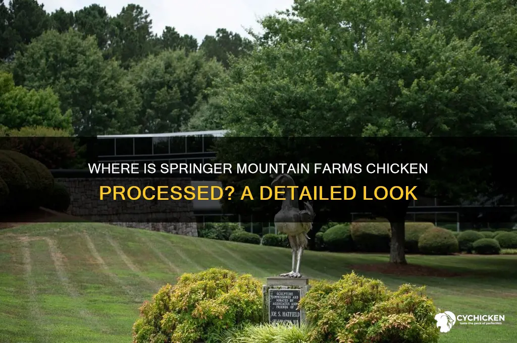 where is springer mountain farms chicken processed