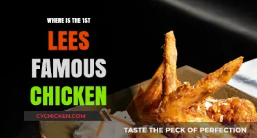 Discovering the Original Lees Famous Chicken Location: A Culinary Quest