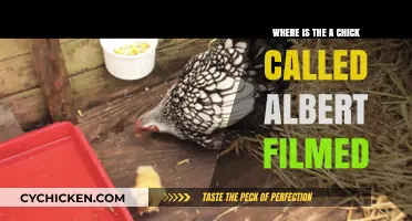 Where Was 'A Chick Called Albert' Filmed? Locations Revealed