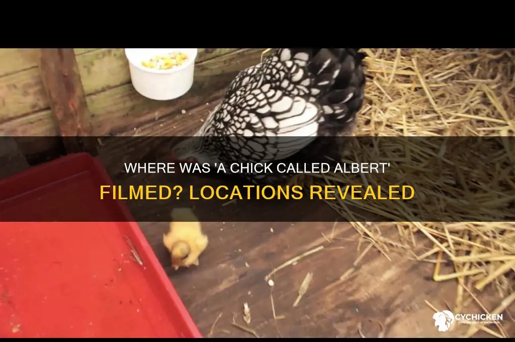 where is the a chick called albert filmed