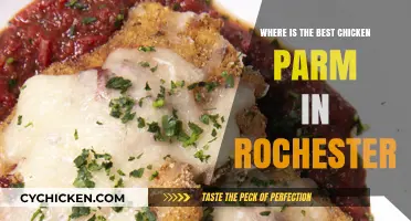 Rochester's Top Chicken Parm: A Delicious Quest for the Best