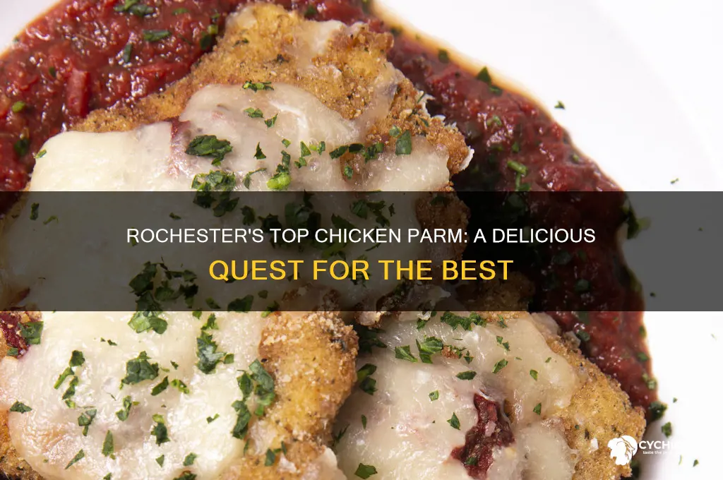 where is the best chicken parm in rochester