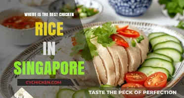 Singapore's Ultimate Chicken Rice: Top Spots for the Perfect Plate