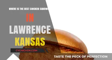 Lawrence's Best Chicken Sandwich: A Tasty Quest for the Top Spot