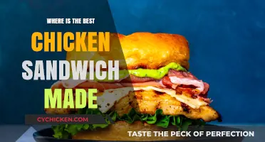 The Ultimate Chicken Sandwich: A Quest for the Perfect Bite