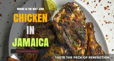 Taste Jamaica's Best: A Quest for the Ultimate Jerk Chicken