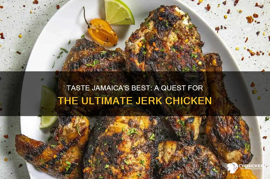 where is the best jerk chicken in jamaica