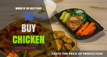Discover the Top Spots to Purchase Fresh, Quality Chicken