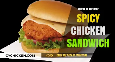 Sizzling Hot: Discovering the Ultimate Spicy Chicken Sandwich Spot