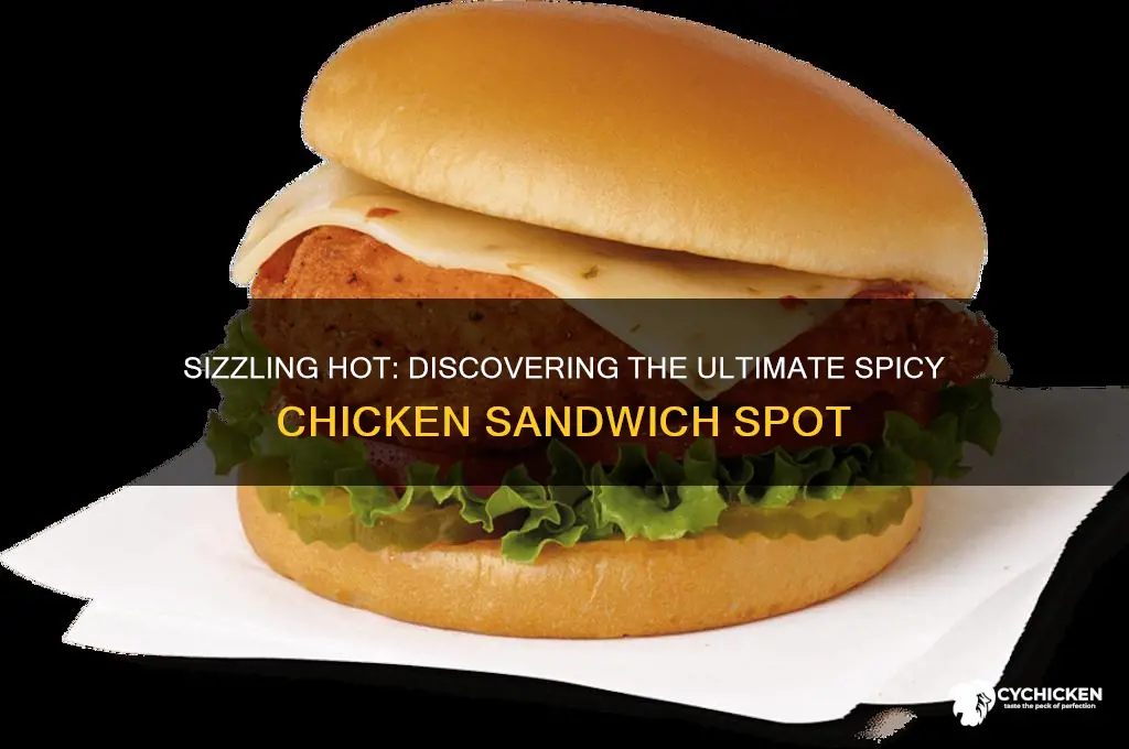 where is the best spicy chicken sandwich