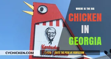 Discovering Georgia's Iconic Big Chicken: Location and History Revealed