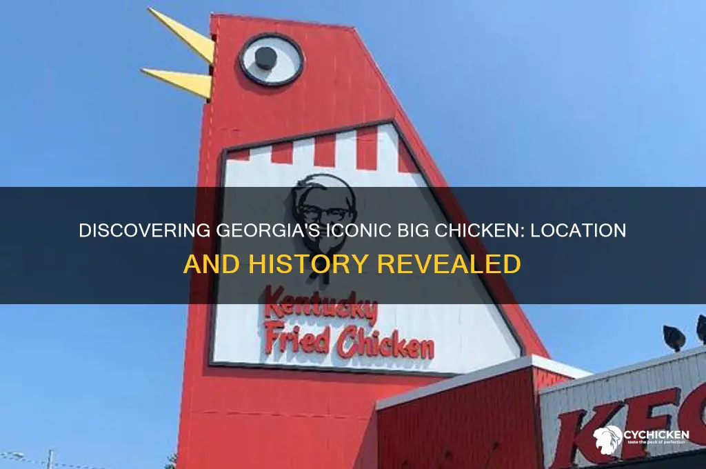 where is the big chicken in georgia