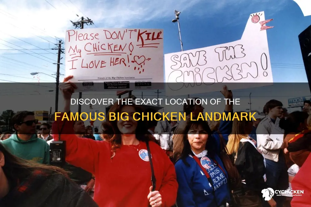 where is the big chicken located exactly