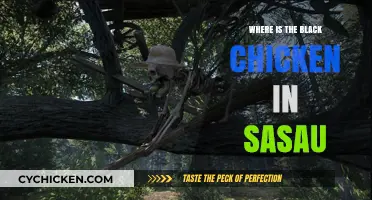 Unveiling Sasau's Mystery: The Elusive Black Chicken's Secret Location