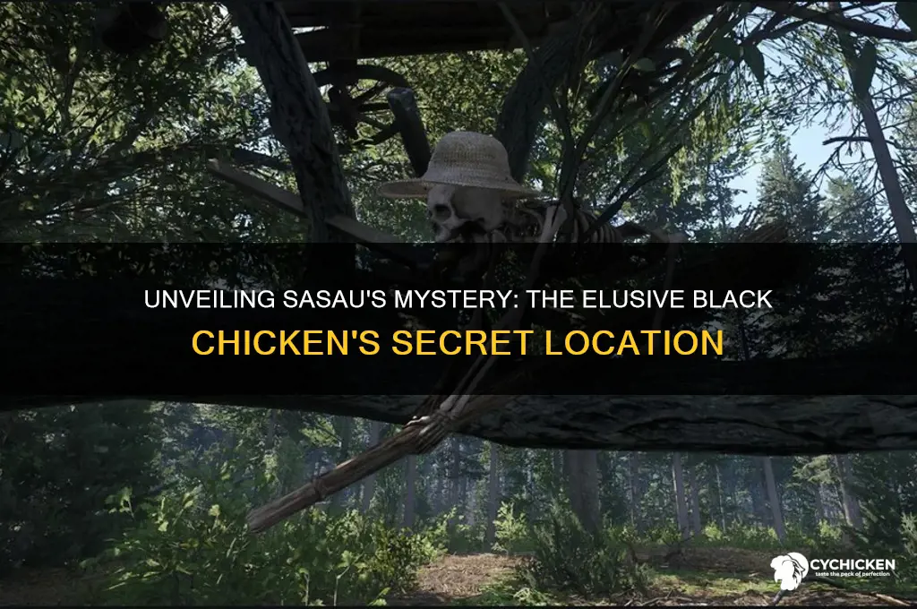 where is the black chicken in sasau