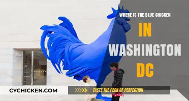 Discovering the Blue Chicken: A Washington DC Hidden Gem