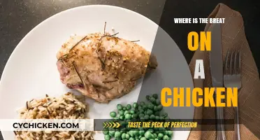 Finding the Breast: A Guide to Chicken Anatomy and Cooking