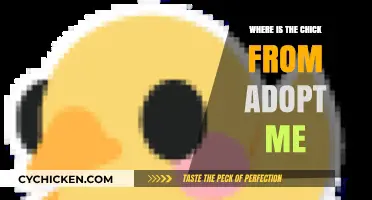 Where is the Chick in Adopt Me? A Quick Guide