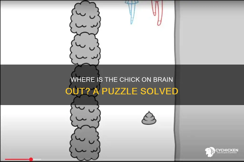 where is the chick on brain out