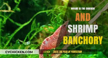 Discover Chicken and Shrimp Banchory: Location and Culinary Delights