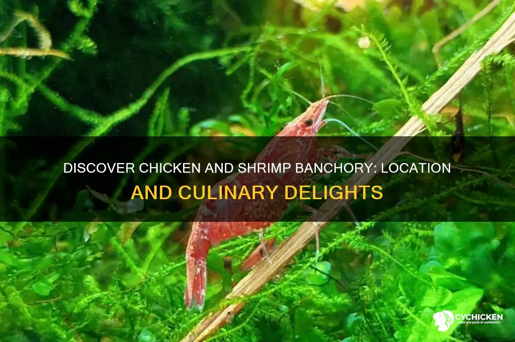 where is the chicken and shrimp banchory