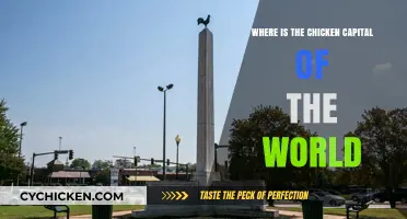 Discovering the Global Chicken Capital: A Poultry Lover's Ultimate Destination