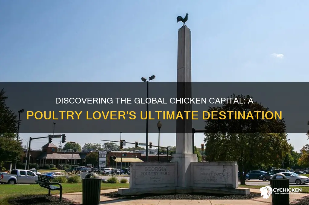 where is the chicken capital of the world