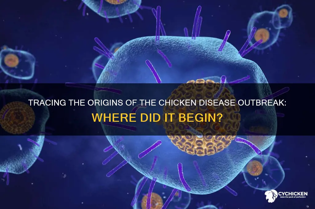 where is the chicken disease started at