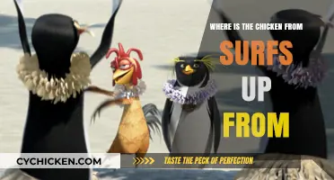 Surfs Up Chicken Origin: Uncovering the Roots of Cody Maverick's Friend