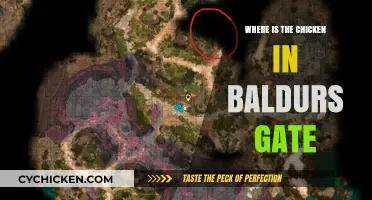 Finding the Elusive Chicken in Baldur's Gate: A Quest Guide
